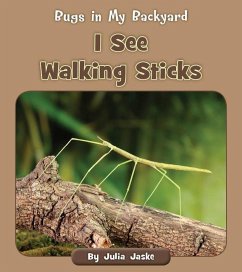 I See Walking Sticks - Jaske, Julia