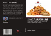 MILLET À DOIGTS DE BLÉ