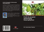 Fruit du jacquier (Artocarpus Heterophyllus)