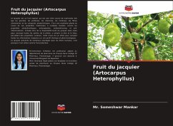 Fruit du jacquier (Artocarpus Heterophyllus) - Mankar, Mr. Someshwar