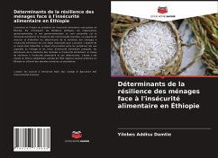 Déterminants de la résilience des ménages face à l'insécurité alimentaire en Éthiopie - Damtie, Yilebes Addisu