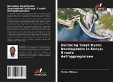 Derisking Small Hydro Development in Kenya: Il ruolo dell'aggregazione