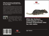 Effet des facteurs anthropiques sur les niveaux d'hormones chez les rats mâles