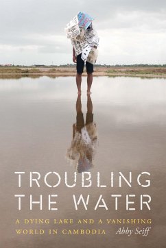 Troubling the Water - Seiff, Abby