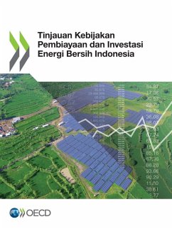 Tinjauan Kebijakan Pembiayaan dan Investasi Energi Bersih Indonesia - Oecd