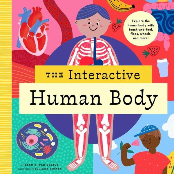 The Interactive Human Body The Interactive Human Body