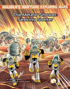 The Meteor Shower: Seeking Shelter - Burns, Jason M