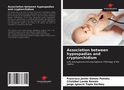 Association between hypospadias and cryptorchidism - Gómez Pamatz, Francisco Javier;Landa Román, Cristóbal;Tapia Garibay, Jorge Ignacio