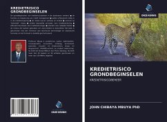 KREDIETRISICO GRONDBEGINSELEN - CHIBAYA MBUYA PhD, JOHN