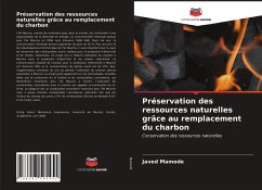 Préservation des ressources naturelles grâce au remplacement du charbon - Mamode, Javed