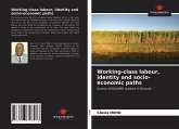 Working-class labour, identity and socio-economic paths
