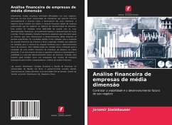 Análise financeira de empresas de média dimensão - Steinhauser, Jaromír