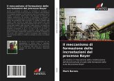 Il meccanismo di formazione delle incrostazioni del processo Bayer Il meccanismo di formazione delle incrostazioni del processo Bayer