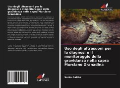 Uso degli ultrasuoni per la diagnosi e il monitoraggio della gravidanza nella capra Murciano Granadina - Galián, Sonia