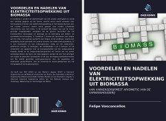 VOORDELEN EN NADELEN VAN ELEKTRICITEITSOPWEKKING UIT BIOMASSA - Vasconcellos, Felipe