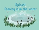 Splash! Stanley is in the water