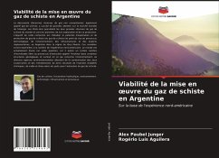 Viabilité de la mise en ¿uvre du gaz de schiste en Argentine - Junger, Alex Paubel; Aguilera, Rogério Luís