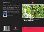 Jackfruit (Artocarpus Heterophyllus)