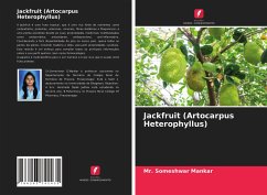 Jackfruit (Artocarpus Heterophyllus) - Mankar, Mr. Someshwar