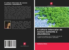 A cultura intercalar de couves aumenta a abundância - Silva, Valkíria