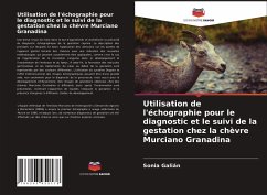 Utilisation de l'échographie pour le diagnostic et le suivi de la gestation chez la chèvre Murciano Granadina - Galián, Sonia