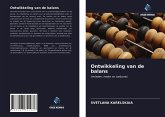 Ontwikkeling van de balans