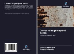 Cover Corrosie in gewapend beton