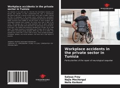 Workplace accidents in the private sector in Tunisia - Fray, Saloua;Mechergui, Najla;Kerkeni, Neila