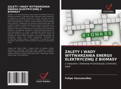 ZALETY I WADY WYTWARZANIA ENERGII ELEKTRYCZNEJ Z BIOMASY - Vasconcellos, Felipe