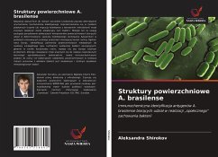 Struktury powierzchniowe A. brasilense - Shirokov, Aleksandra