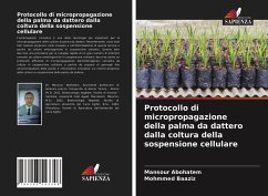 Protocollo di micropropagazione della palma da dattero dalla coltura della sospensione cellulare - Abohatem, Mansour; Baaziz, Mohmmed