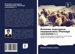 Vliqnie podkormki podorozhnika (Plantago Lanceolata L.) - Sumon, Redoan Akond