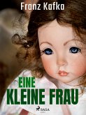 Eine kleine Frau (eBook, ePUB)