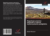 Regulacja prawna stosunki w sferze wykorzystanie podglebia Regulacja prawna stosunki w sferze wykorzystanie podglebia