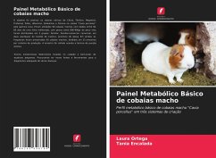 Painel Metabólico Básico de cobaias macho - Ortega, Laura;Encalada, Tania