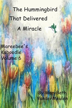 The Hummingbird That Delivered a Miracle (Mareebee's Kaboodle, #6) (eBook, ePUB) - VanderMeulen, MaryBeth