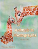 Animals in Photographs (eBook, ePUB)