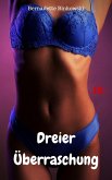 Dreier Überraschung (eBook, ePUB)