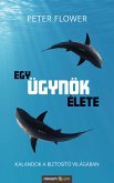 Egy ügynök élete (eBook, ePUB)