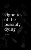 Vignettes of the Possibly Dying (eBook, ePUB)