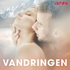 Cover Vandringen (MP3-Download)