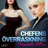 Chefens överraskning - erotisk novell (MP3-Download)