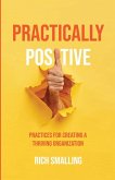Practically Positive (eBook, ePUB)