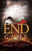 END GAME (eBook, ePUB)