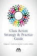 Class Action Strategy & Practice Guide... - Bild 1