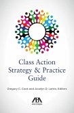 Class Action Strategy & Practice Guide (eBook, ePUB)