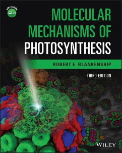 Molecular Mechanisms of Photosynthesis (eBook, ePUB) - Blankenship, Robert E.
