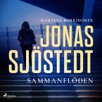 Sammanflöden (MP3-Download)