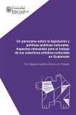 Un panorama sobre la legislación y políticas públicas culturales (eBook, ePUB)