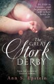 The Great Stork Derby (eBook, ePUB)